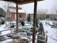 IMG_1233.jpeg