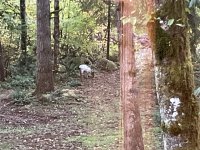 IMG_5634.jpeg