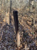 IMG_5451.jpeg