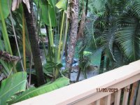 IMG_0082.JPG
