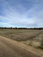 Pasture.jpeg