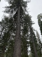 IMG_0450.jpeg