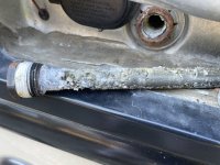 IMG_2648[1].JPG