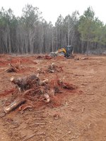 Excavator Lot1.jpeg