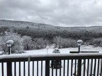 IMG_4952.jpg