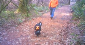 dog-walk-12-16-23.JPG