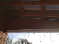IMG_1260.jpeg IMG_1260.jpeg