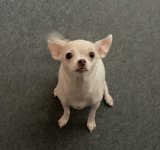 IMG_0101.jpeg