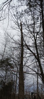 20231222_110704.jpg