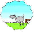 Barn__Animals_dream_prv.gif