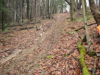 IMG_0723.JPG