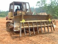 Dozer with Rake.jpg