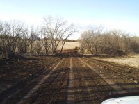 Rural 051.jpg