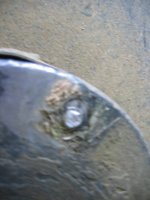 IMG_4466.jpg