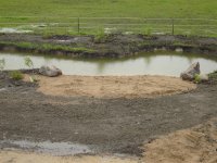 pond I.JPG