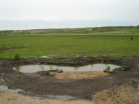pond II.JPG