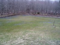 landscaping project 2007 before 02.jpg