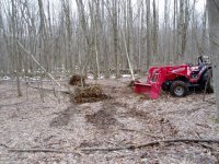 TREE TIPPING 003.jpg