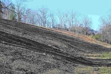 mulched hillside slope pic.jpg