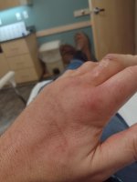 IMG_20231225_172734334.jpg