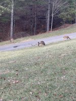 IMG_1079.jpeg