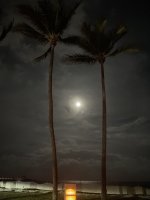 IMG_8501.jpeg