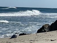 IMG_8537.jpeg