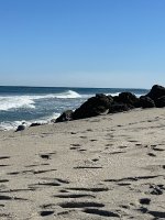 IMG_8536.jpeg