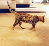 IMG_5123.jpeg