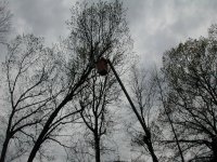 DSCN2043.JPG