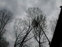 DSCN2047.JPG
