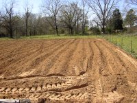 03142005fielld1.JPG