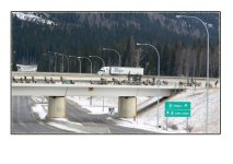 Elk in Canada.JPG