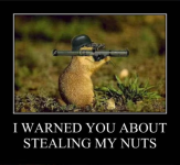 IMG_3617.png