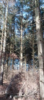 20240204_161051.jpg