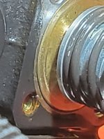 20240205_193203.jpg