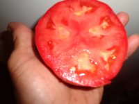 DSC01251.JPG