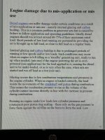 IMG_8423.jpeg