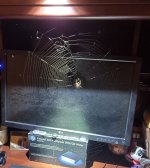 WSspider.jpg