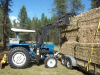 Hay bales-1100# squares 006.jpg