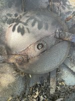 IMG_0675.jpeg