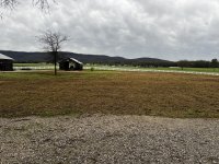 IMG_7914.jpeg