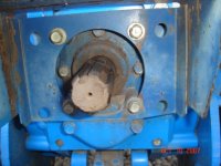 DSC00557.JPG