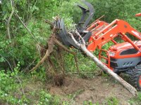 48 inch grapple unrooting tree with DK40se.jpg