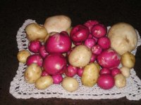 NewPotatoes.jpg