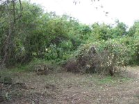 2 IMG_0168 Start.JPG