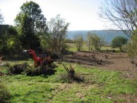 7 clearing stumps.jpg
