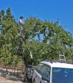 P1040280rLadders-14&10ft.jpg