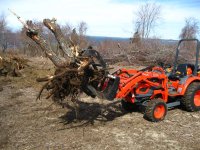 8 moving stumps.jpg