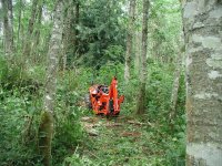 Kioti_Trail_ClearFarEastTrail_ClosePicInMidTrail_2JUL07_.JPG